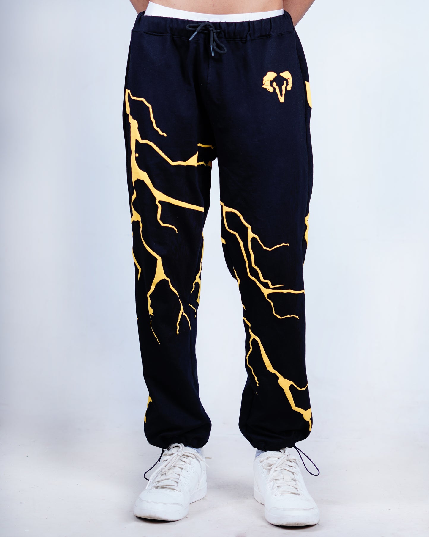 Flash strike Joggers